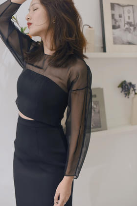 AtelierMissLu / Sharon 光泽黑欧根纱套裙