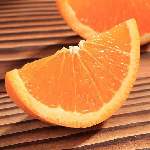 南非精品甜橙一份约1300g 香甜多汁