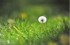 几世芳华，十里书香