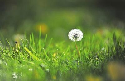 几世芳华，十里书香 商品图0
