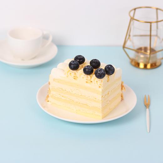 盐系·森林 - cake only专爱法式蛋糕