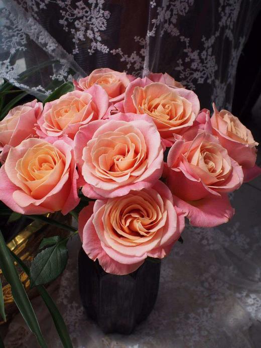 【秒杀福利】猪小姐  20枝/扎 商品图3