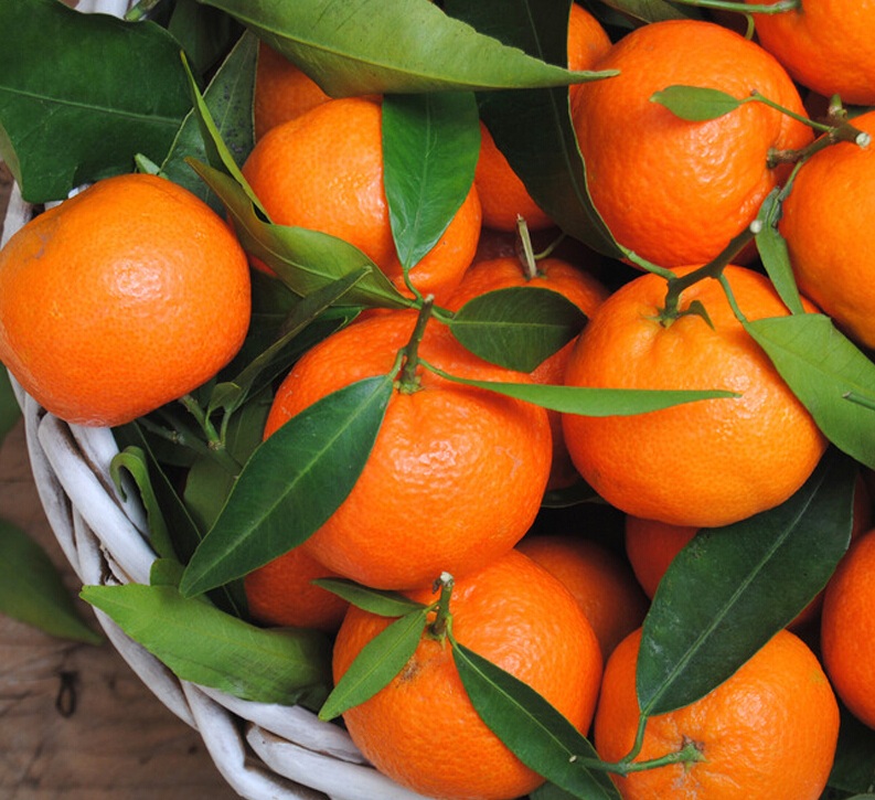 沙糖桔（4斤）