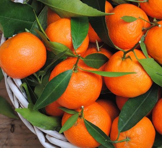 沙糖桔（4斤） 商品图0