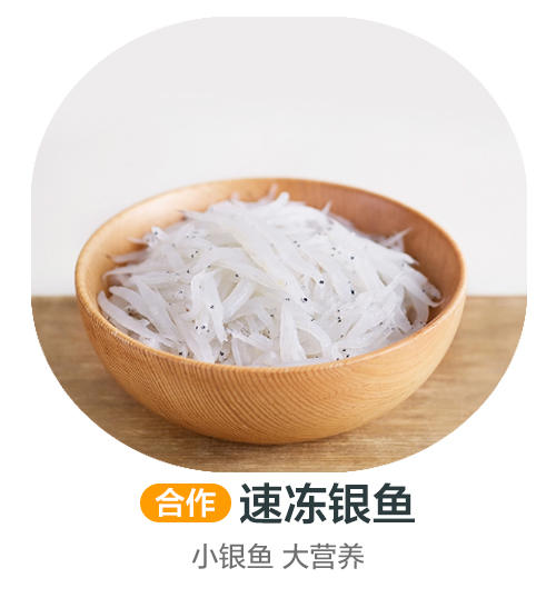 速冻银鱼（合作） 商品图0