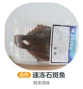 速冻石斑鱼（哈尔滨-合作）