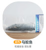 马鲛鱼，吃着安全，易处理（合作） 商品缩略图0