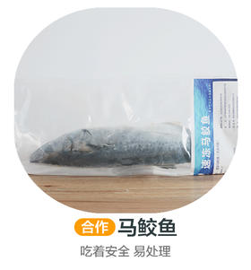 马鲛鱼，吃着安全，易处理（合作）