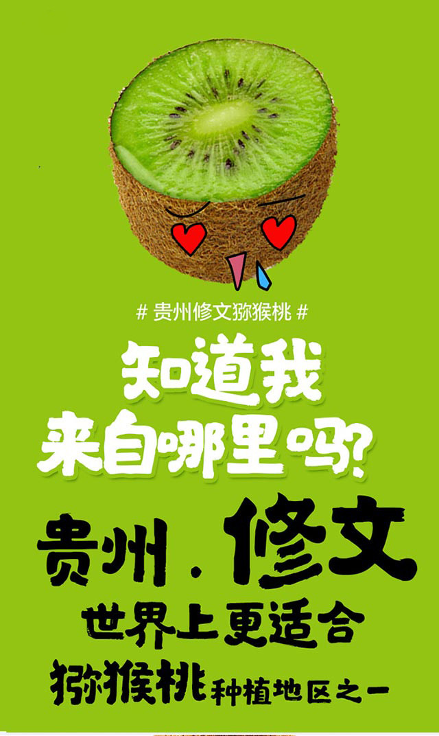 贵州修文野生猕猴桃60g以下24个装