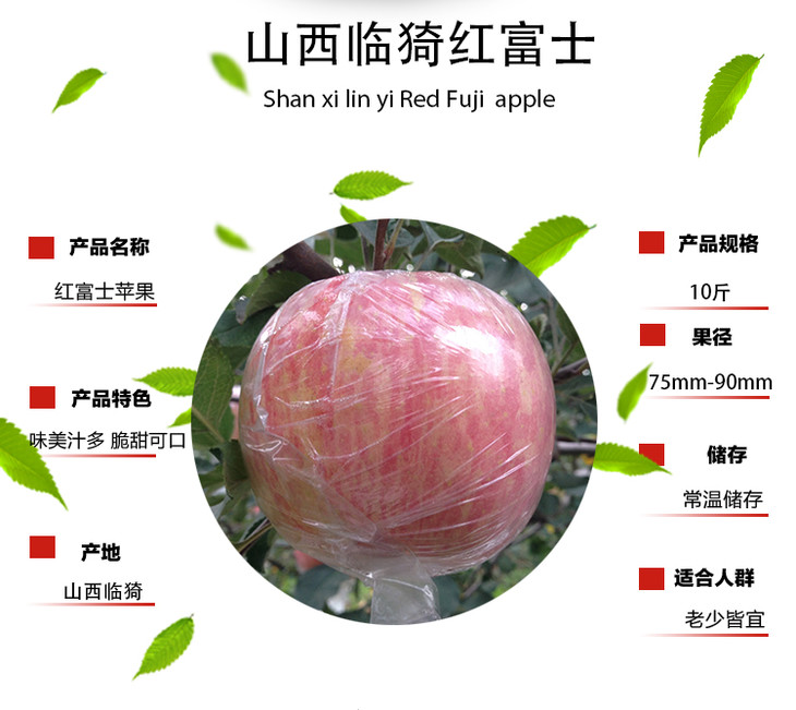 运城红富士苹果 8斤装