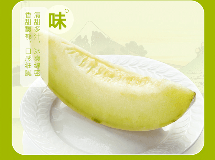 日本月露密瓜条纹瓜网纹瓜 一盒5只装