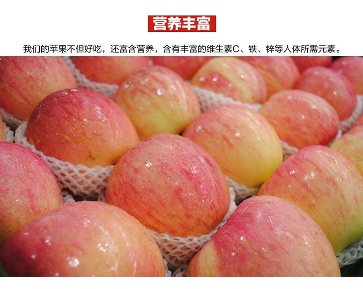 运城红富士苹果 8斤装