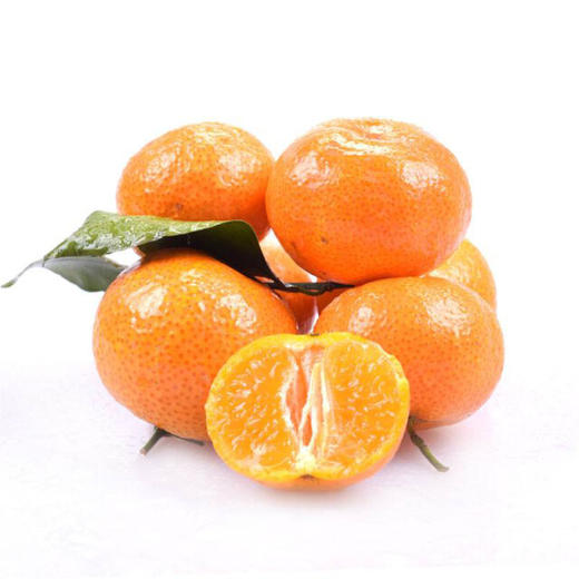 特级丑橘（金马鹿） 商品图0