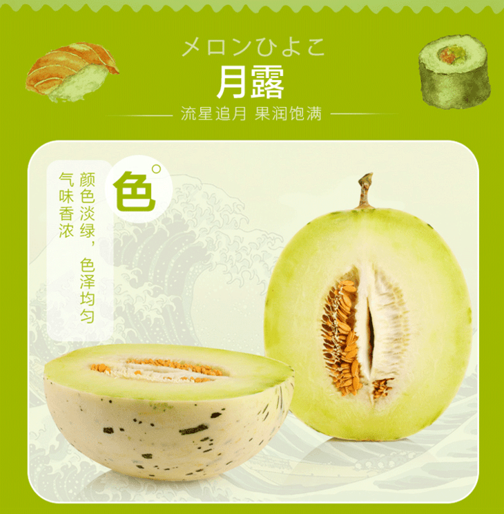 日本月露密瓜条纹瓜网纹瓜 一盒5只装