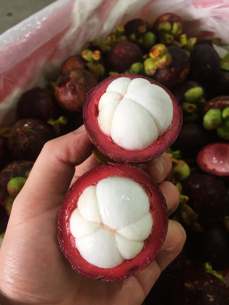【超级靓货】泰国顶级 4a级山竹 皮薄肉厚 基本无核 超级好货,雪白的