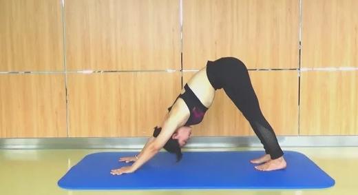 7）下犬式 商品图0