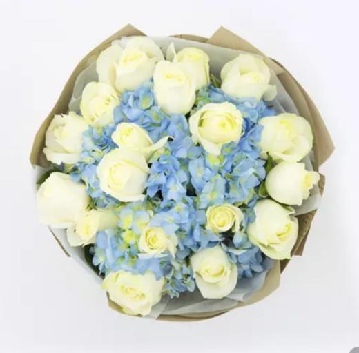 爱的流星----白玫瑰19支.蓝色绣球一个，分开间插（1504） 商品图2