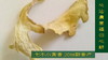 七不姜特价二折起特卖专区 各类姜产品特价处理 商品缩略图4
