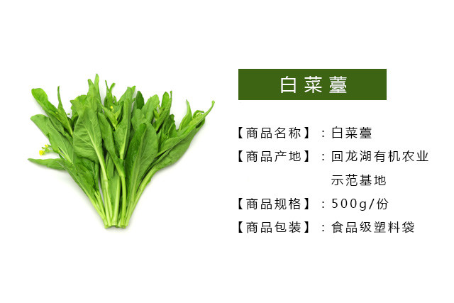 有机菜薹 白菜薹 白菜苔 500g
