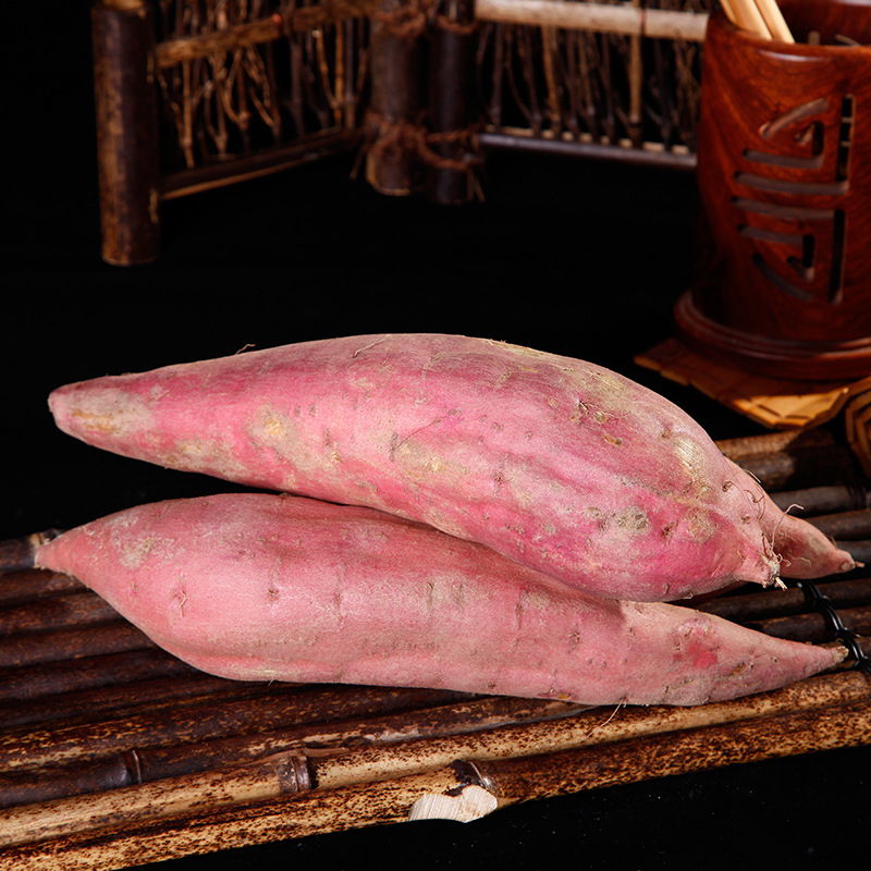 【粗粮美食】正宗福建六鳌沙地红蜜薯 香甜糯 粗粮 产地直发包邮