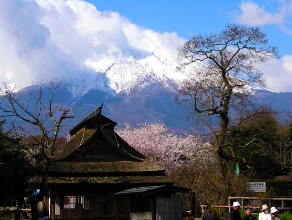 【日本】东京富士山奈良樱花6天旅拍