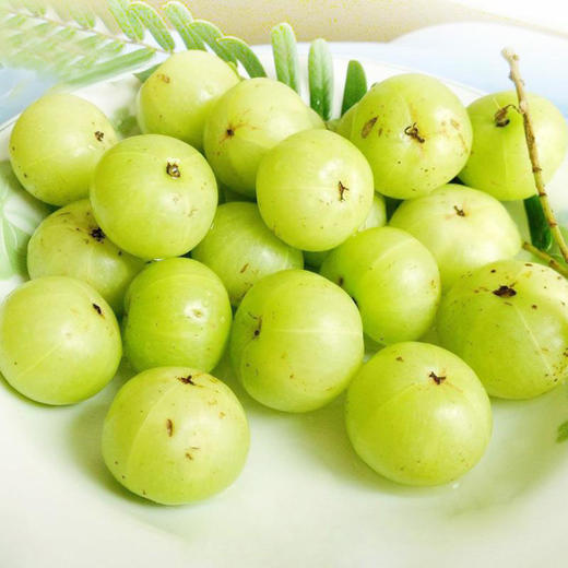 蜂蜜滇橄榄2瓶装|蜂蜜搭配滇橄榄 甘甜可口 回味无穷 停不下来的好吃