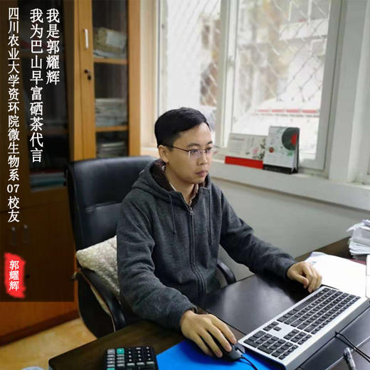 《11级校友郭耀辉》万源富硒茶，巴山早毛尖 商品图2