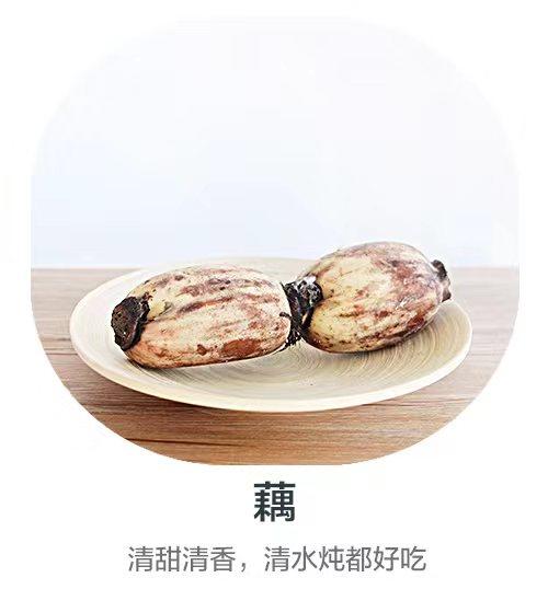 藕（哈尔滨） 商品图0