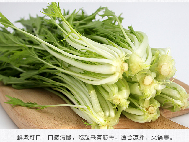 白梗京水菜 350g