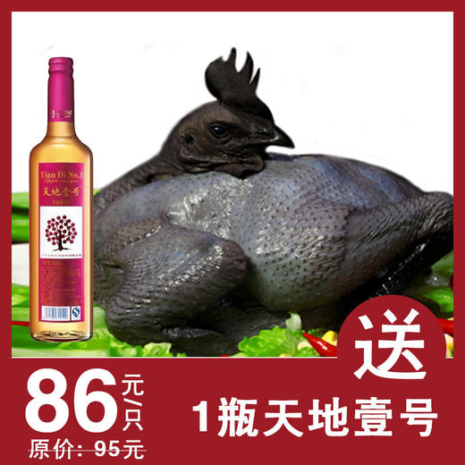 【送天地壹号1瓶】壹号乌鸡  1.8斤-2斤左右  1只 商品图0