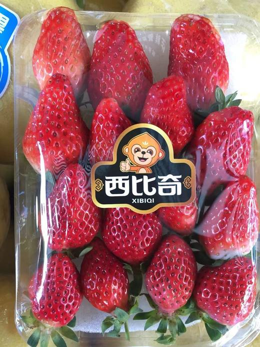 玉溪四季草莓(约300g/份) 当日采摘  有机草莓  口感酸甜  个头大 商品图0