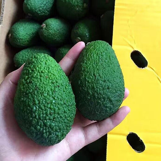 墨西哥进口牛油果（3个装） 小果  孕妈宝宝最爱  大营养  健康必备 商品图2