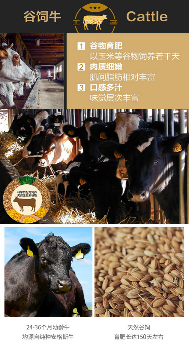 已过核酸检测澳洲谷饲150天牛小排运费顺丰到付