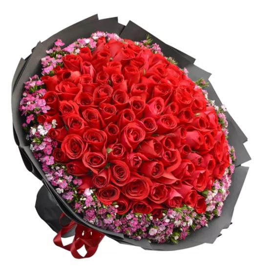 守护甜心-- 99朵红玫瑰，相思梅搭配（1646）） 商品图0
