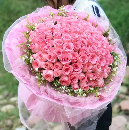 心花怒放	 粉玫瑰99枝 黄莺 满天星搭配（1649） 商品图0