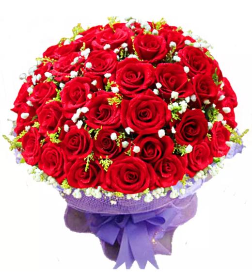 缘定三生- 33枝红玫瑰，黄莺、满天星搭配，少许绿叶点缀，紫色卷边纸内衬，紫色纱 网外圆形包装(1645) 商品图0