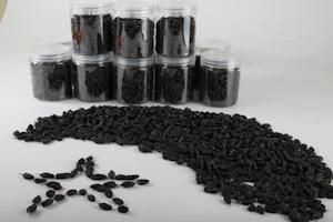 高寒黑加仑 商品图4