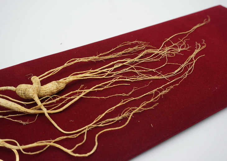 冬令进补正当时 "咏芝元"桓仁今年新挖的野山参干人参 小抱抱超值好礼