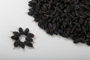 高寒黑加仑 商品图3