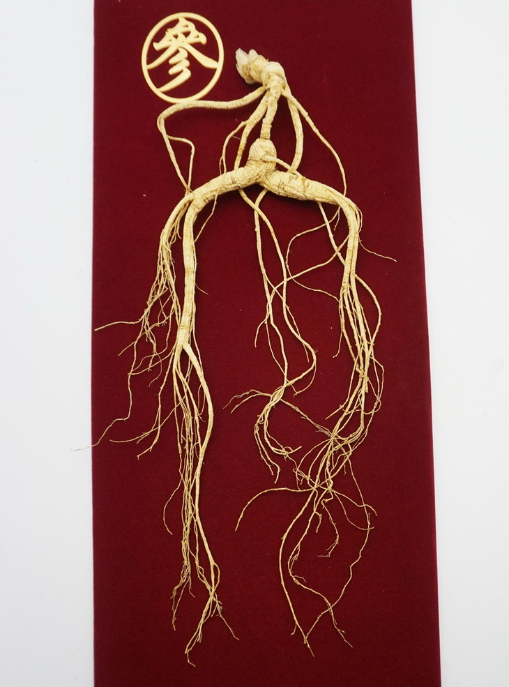 冬令进补正当时 "咏芝元"桓仁今年新挖的野山参干人参 小抱抱超值好礼