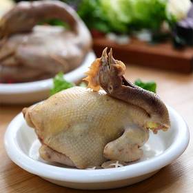 灵芝鸡360天治病生态绿色走地母鸡