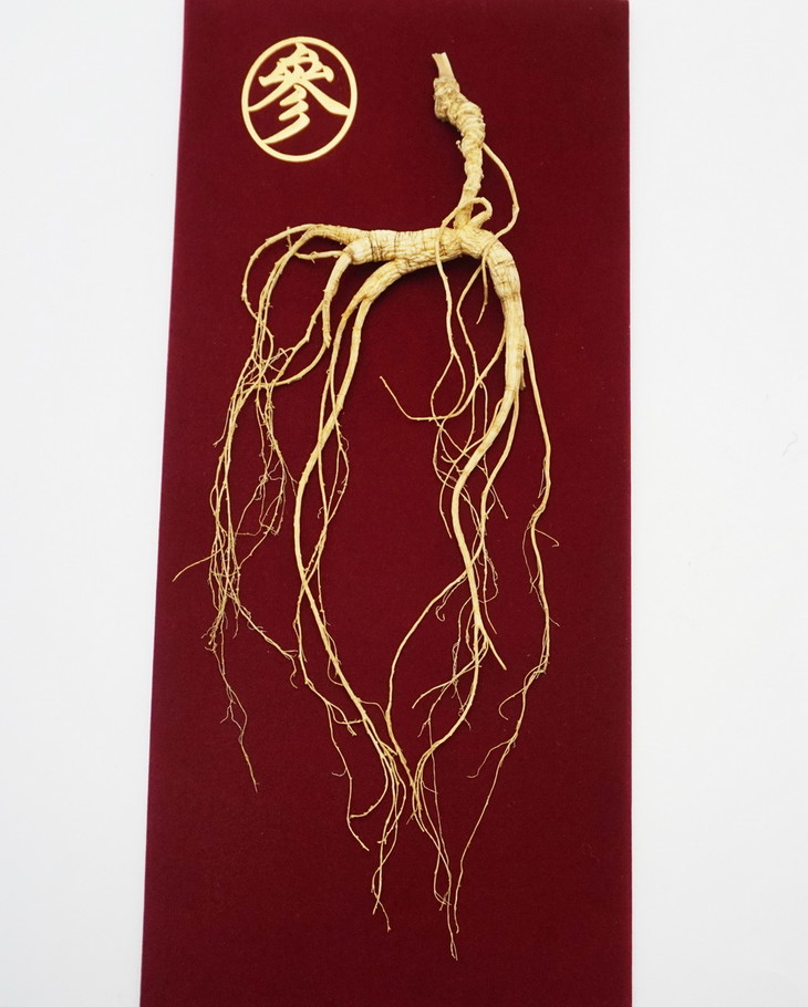 冬令进补正当时 "咏芝元"桓仁今年新挖的野山参干人参 小抱抱超值好礼