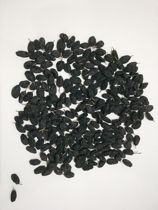 高寒黑加仑 商品图1