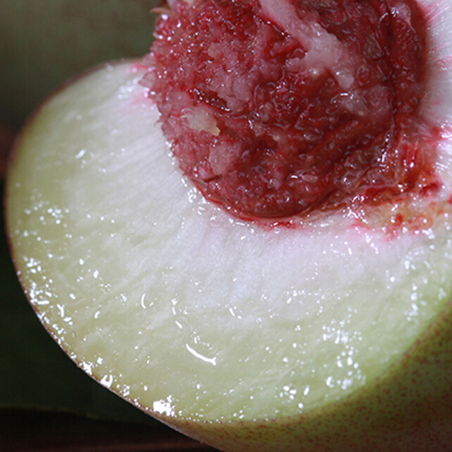 四川攀枝花蜜雪冬桃 5斤 晚熟4个月脆甜爽口 现摘现发