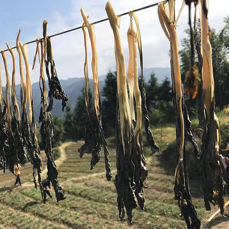 菜心干(太阳晒干 露天种植)| 广东乐昌 绿乐源有机农场