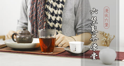 漫谈六堡（第一季）听资深茶人讲六堡 商品图0