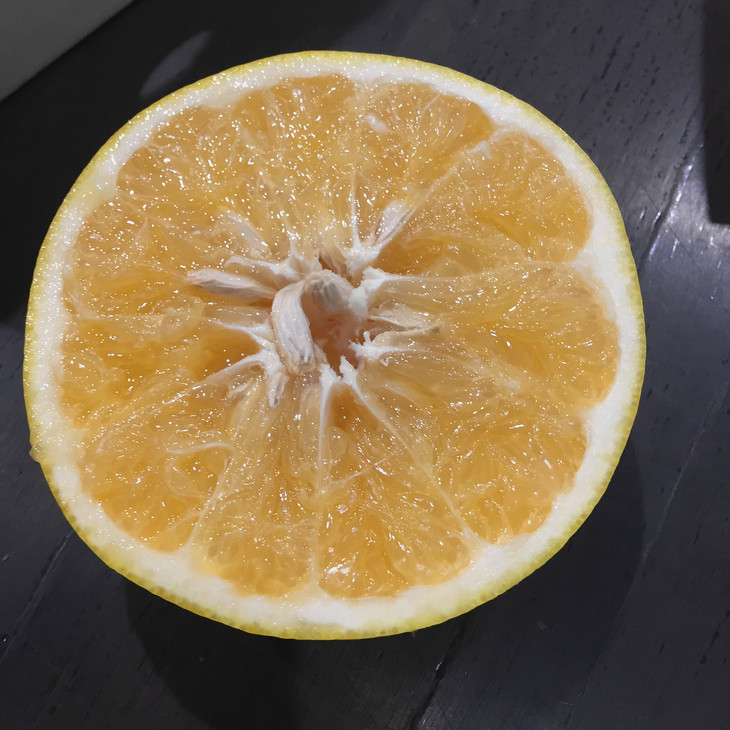 【水分超足的葡萄柚】迸发出葡萄般汁水的柚子 入口爆汁的快感体验