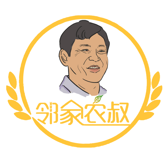 山林健康生活210723