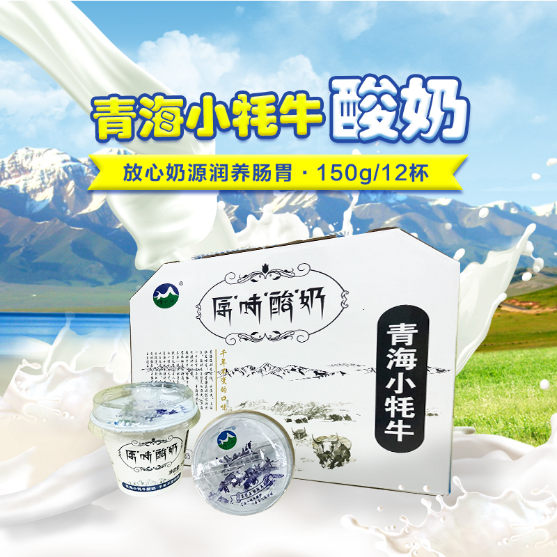 【青藏特产】青海小牦牛 高原牧场奶源 原味酸奶 150g*12