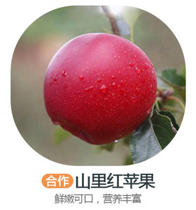 【最后一批抓紧抢购！！！】野生西北勒山里红苹果（预售）